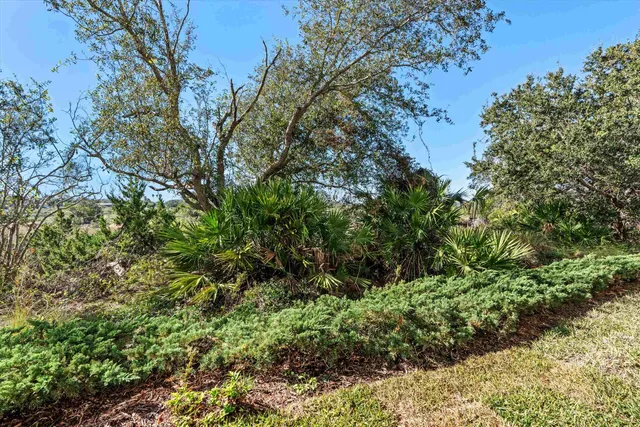 a view of a garden with plants and large trees