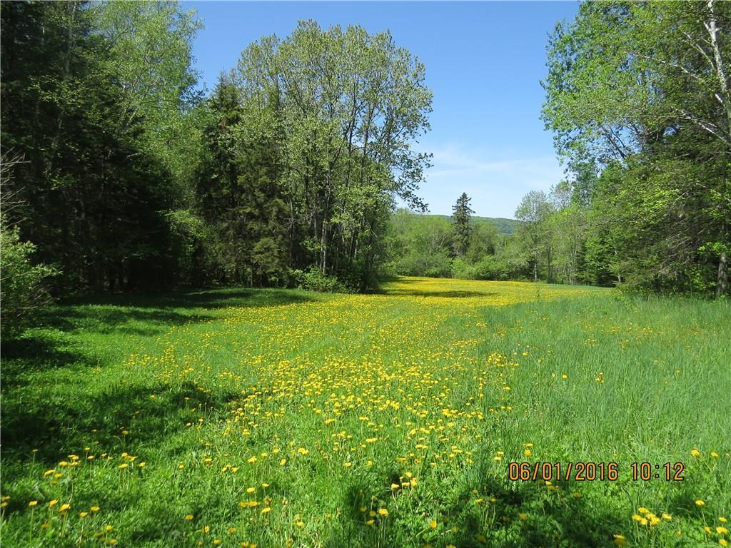 549 Strip Road Wallagrass, ME 04781 - Photo 30 of 31 Photo