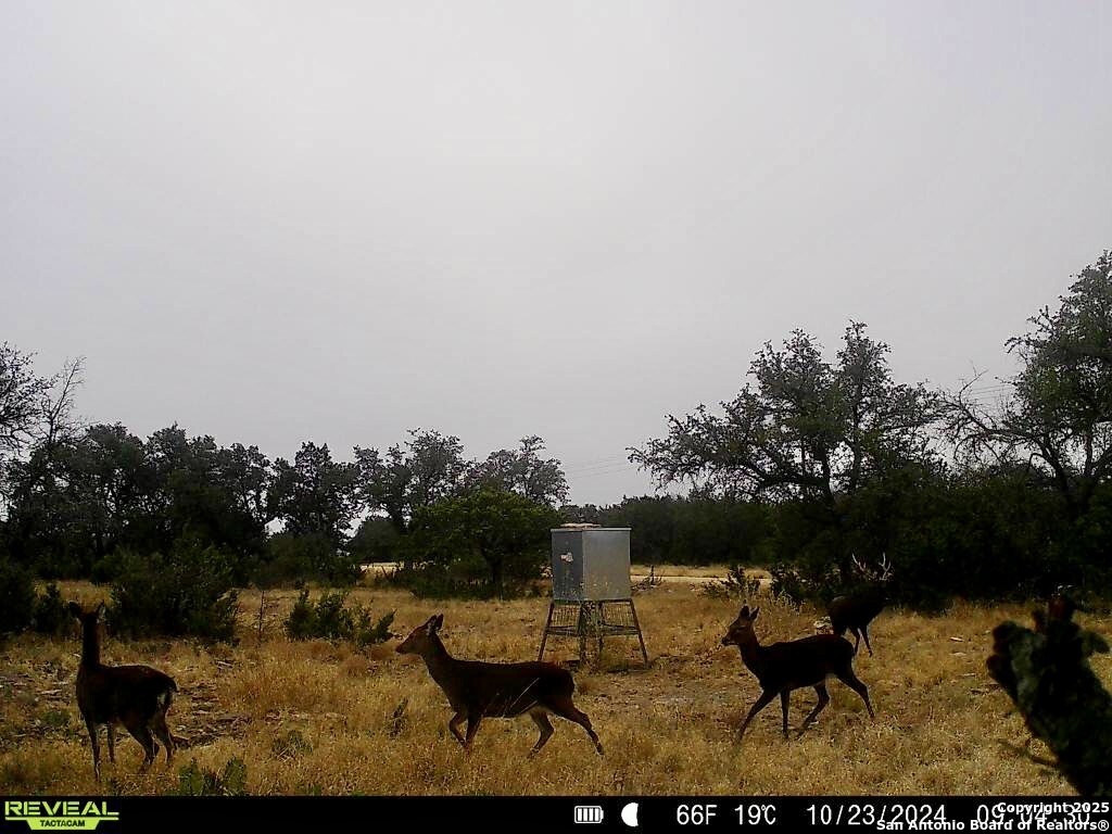 7 Tasiwoo Pvt Road Harper, TX 78631 - Photo 16 of 22