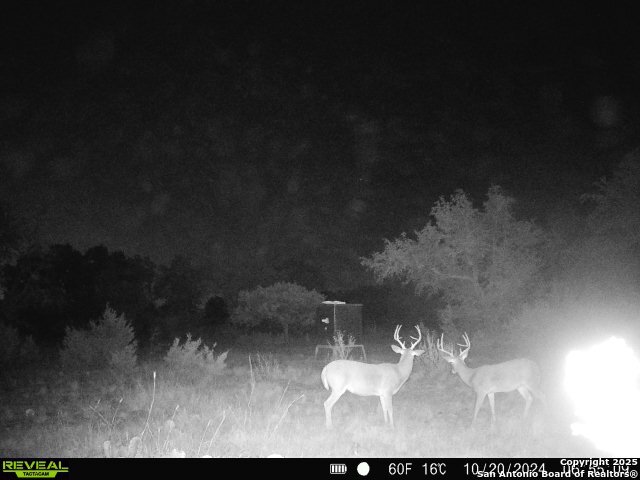 7 Tasiwoo Pvt Road Harper, TX 78631 - Photo 20 of 22