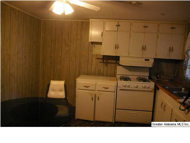 9121 3rd Avenue Trafford, AL 35172 - Photo 4 of 10