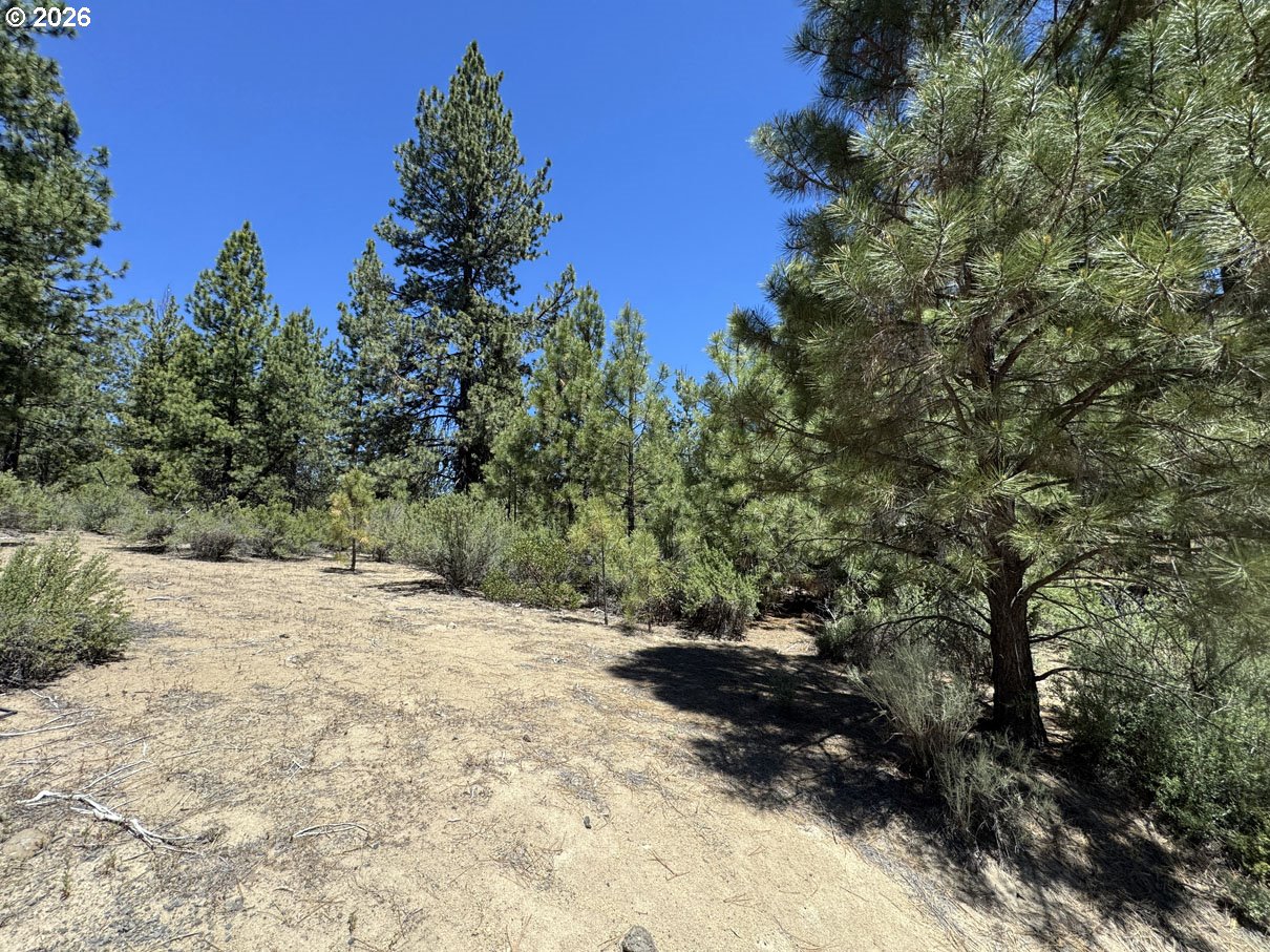 Friendship Drive, Unit 15 Chiloquin, OR 97624 - Photo 10 of 41