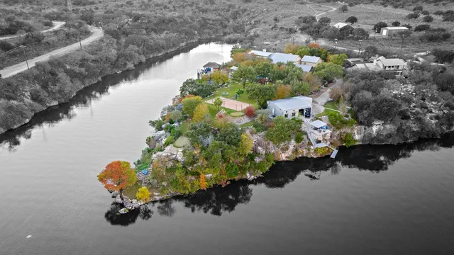 a bunch of flowers and purple flowers