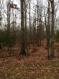 Fed Phillips Road Oneida, TN 37841 - Photo 3 of 6 20171115140052348558000000-o