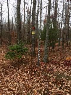 Fed Phillips Road Oneida, TN 37841 - Photo 4 of 6 20171115140100010492000000-o