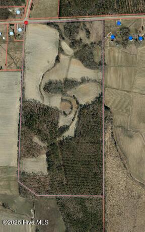 5500 Lonesome Pine Road Whitakers, NC 27891 - Photo 4 of 6 Boundary Lines