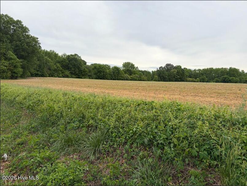 5500 Lonesome Pine Road Whitakers, NC 27891 - Photo 5 of 6 5500 1