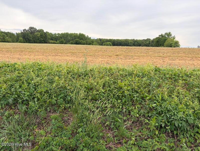 5500 Lonesome Pine Road Whitakers, NC 27891 - Photo 6 of 6 5500 2