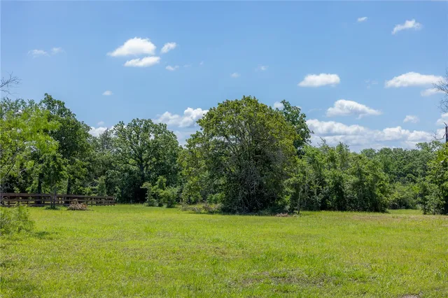 a view of a field of grass and trees