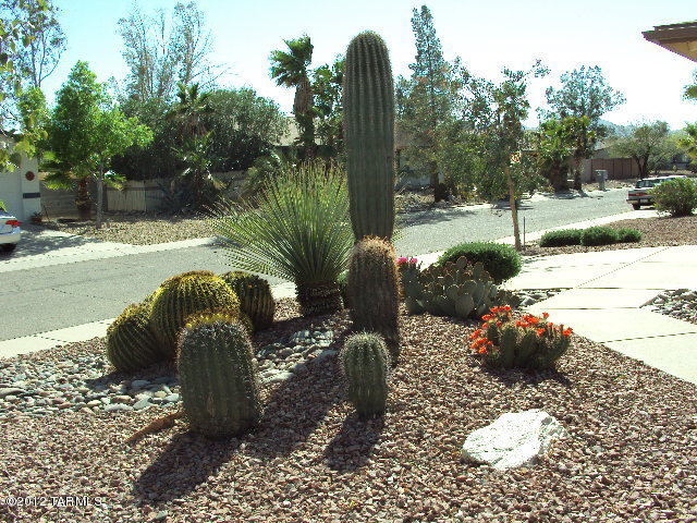 2630 West Sunset Road Tucson, AZ 85741 - Photo 3 of 24