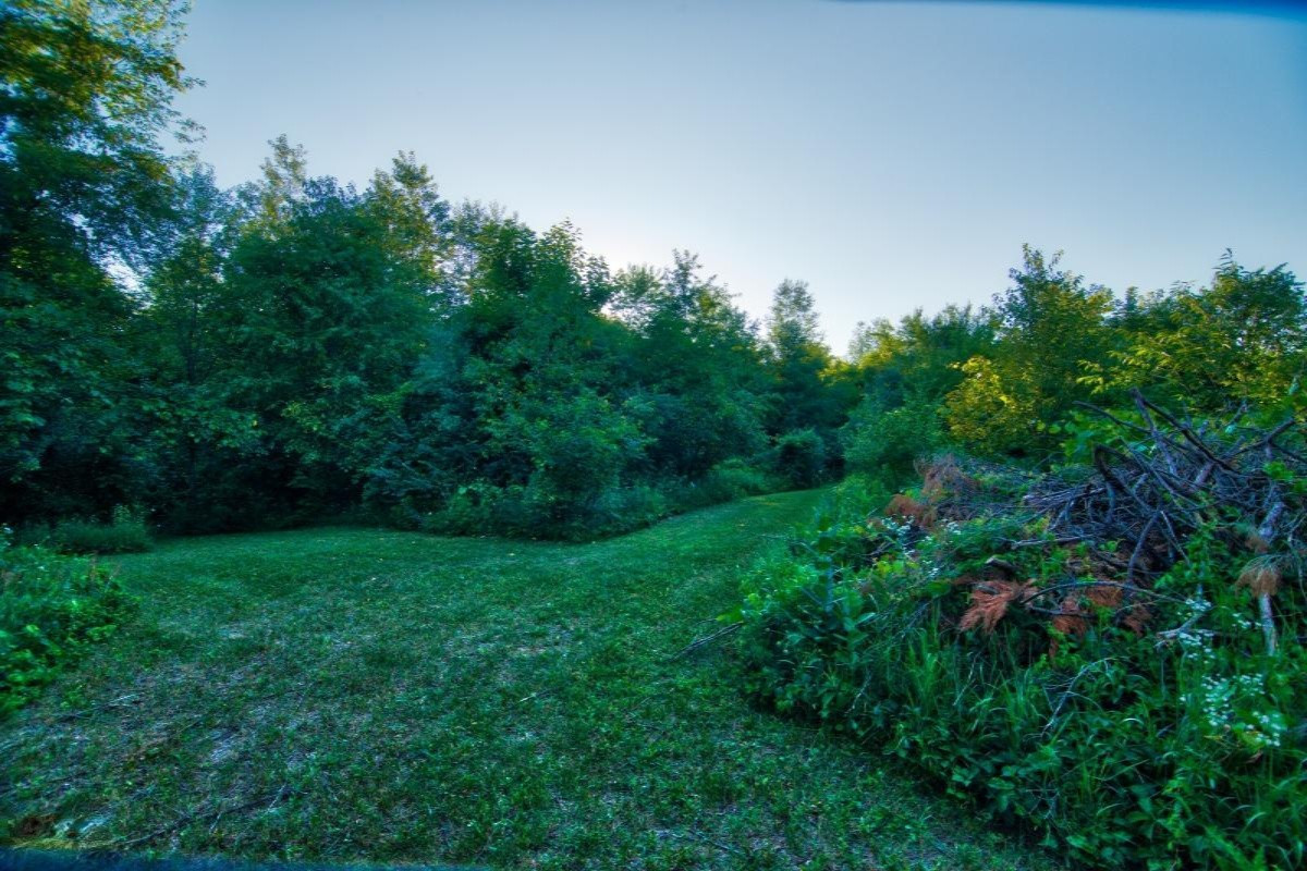 1945 Oak Forest Road Niles, MI 49120 - Photo 29 of 44 _DSC71591945 Oak foreset