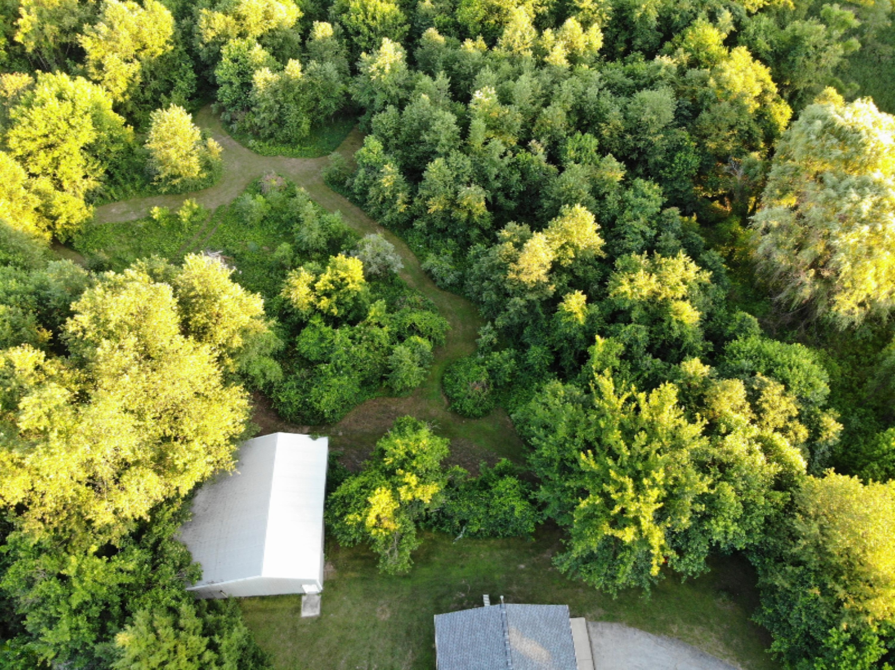 1945 Oak Forest Road Niles, MI 49120 - Photo 31 of 44 DJI_0092