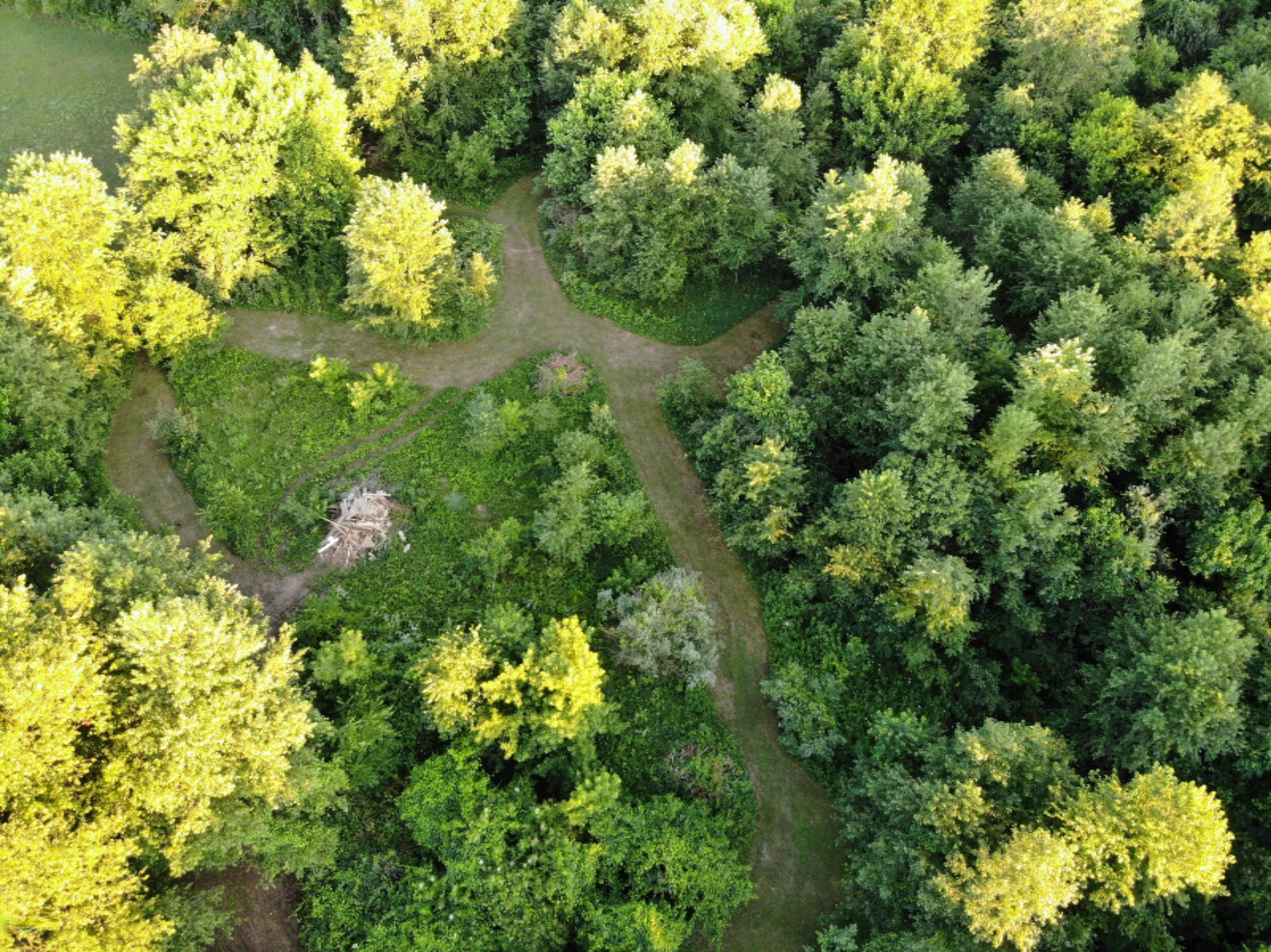 1945 Oak Forest Road Niles, MI 49120 - Photo 32 of 44 DJI_0093