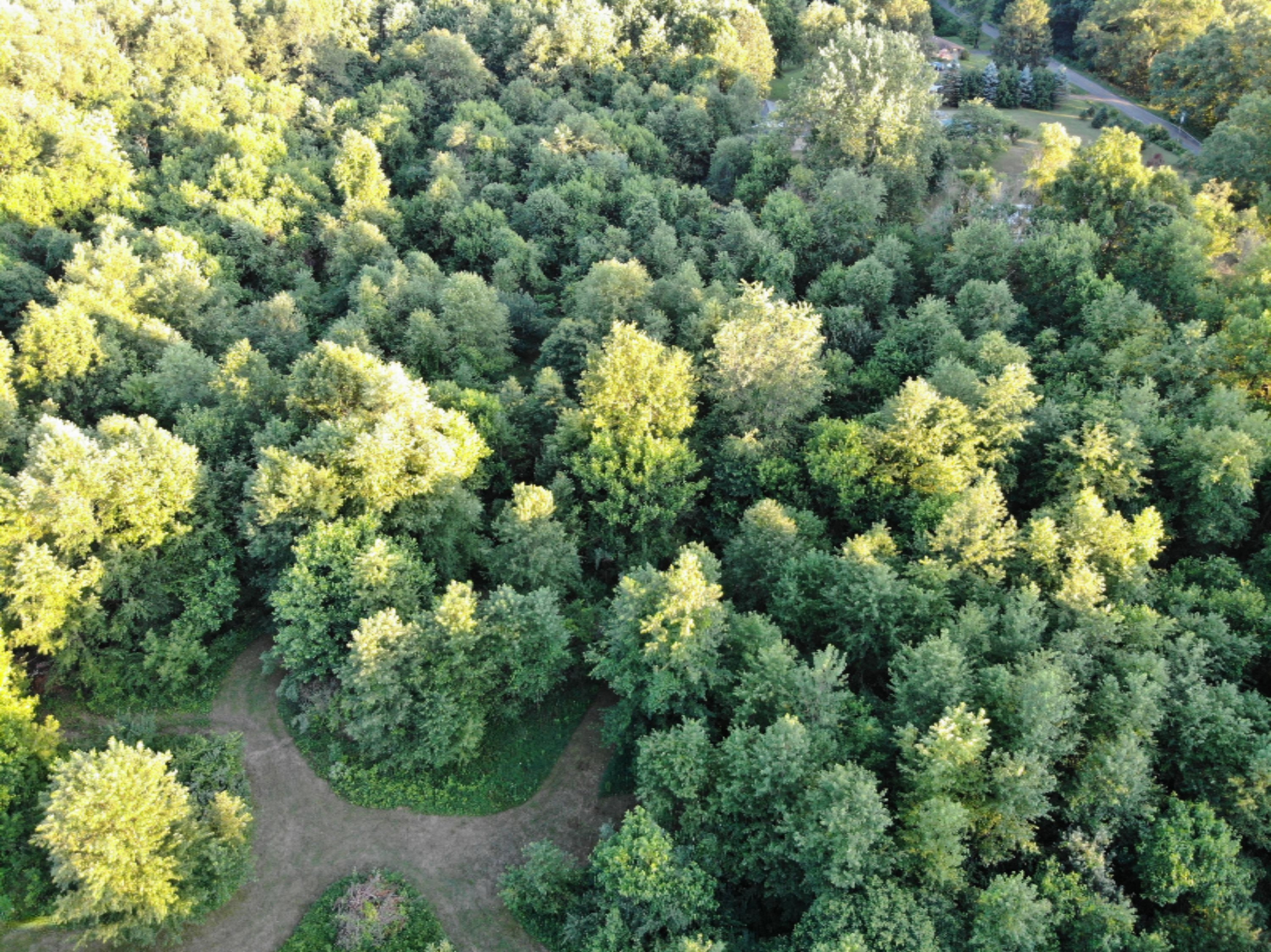 1945 Oak Forest Road Niles, MI 49120 - Photo 36 of 44 DJI_0097