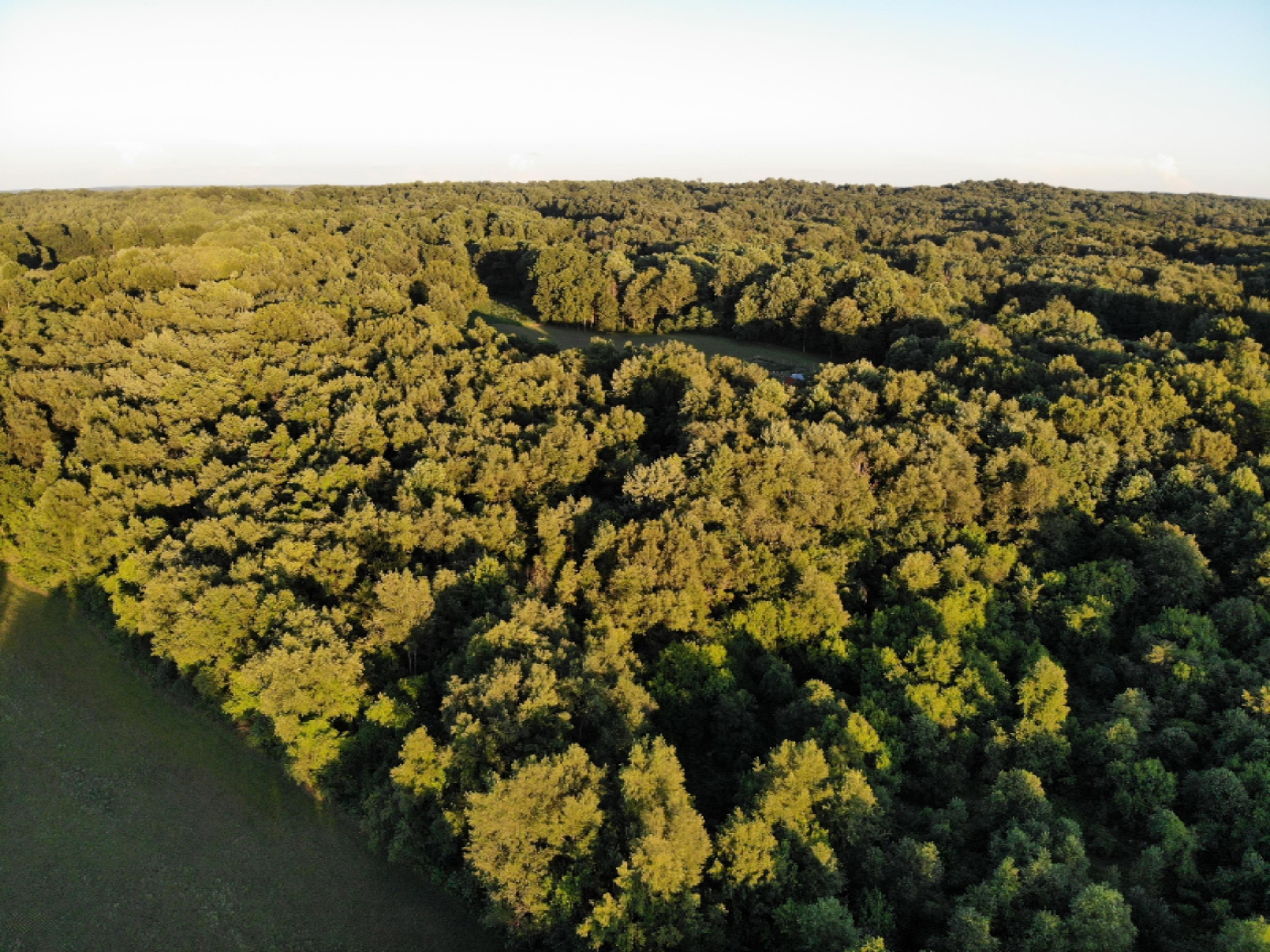 1945 Oak Forest Road Niles, MI 49120 - Photo 37 of 44 DJI_0098