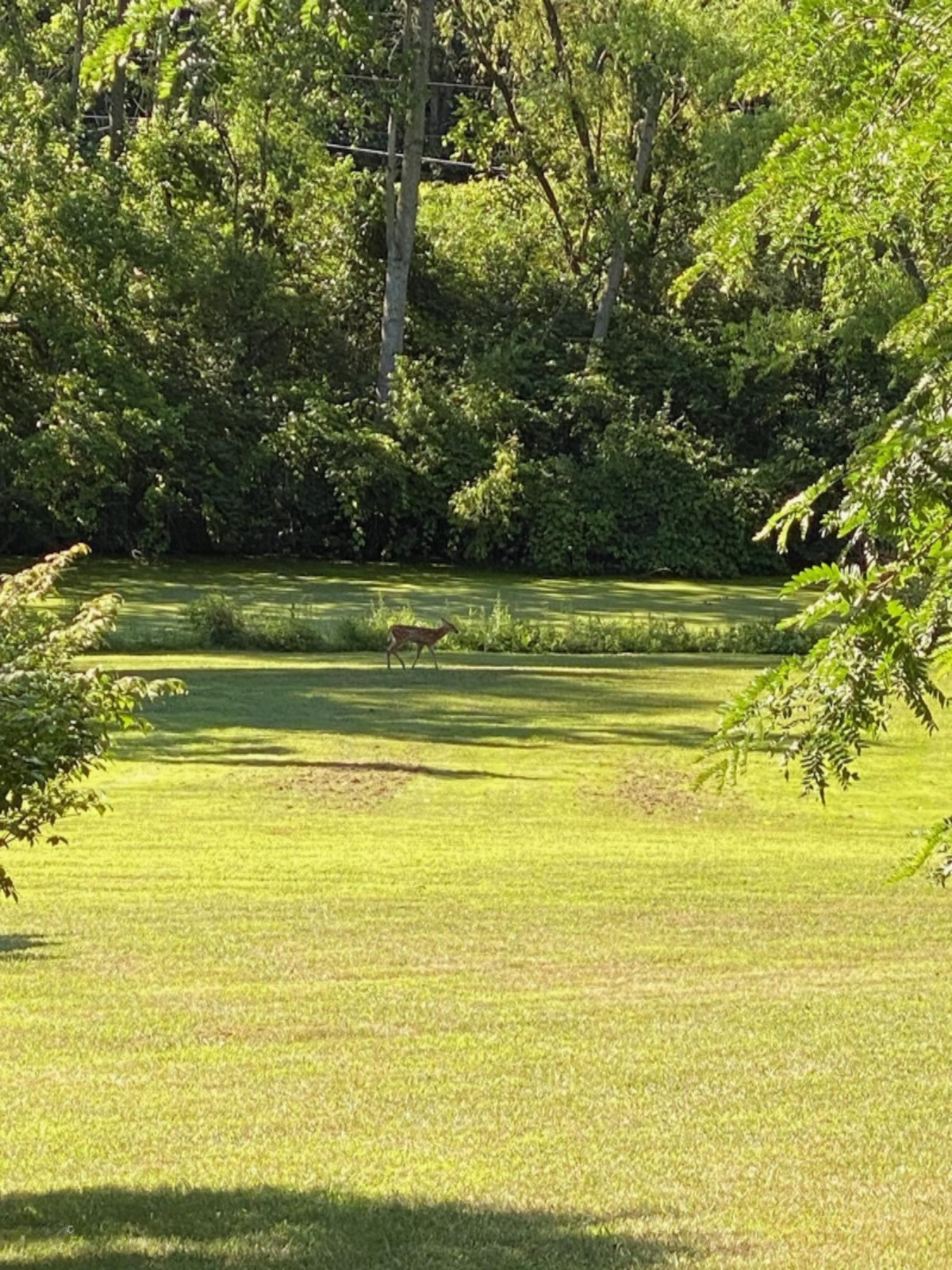 1945 Oak Forest Road Niles, MI 49120 - Photo 44 of 44 IMG_3849