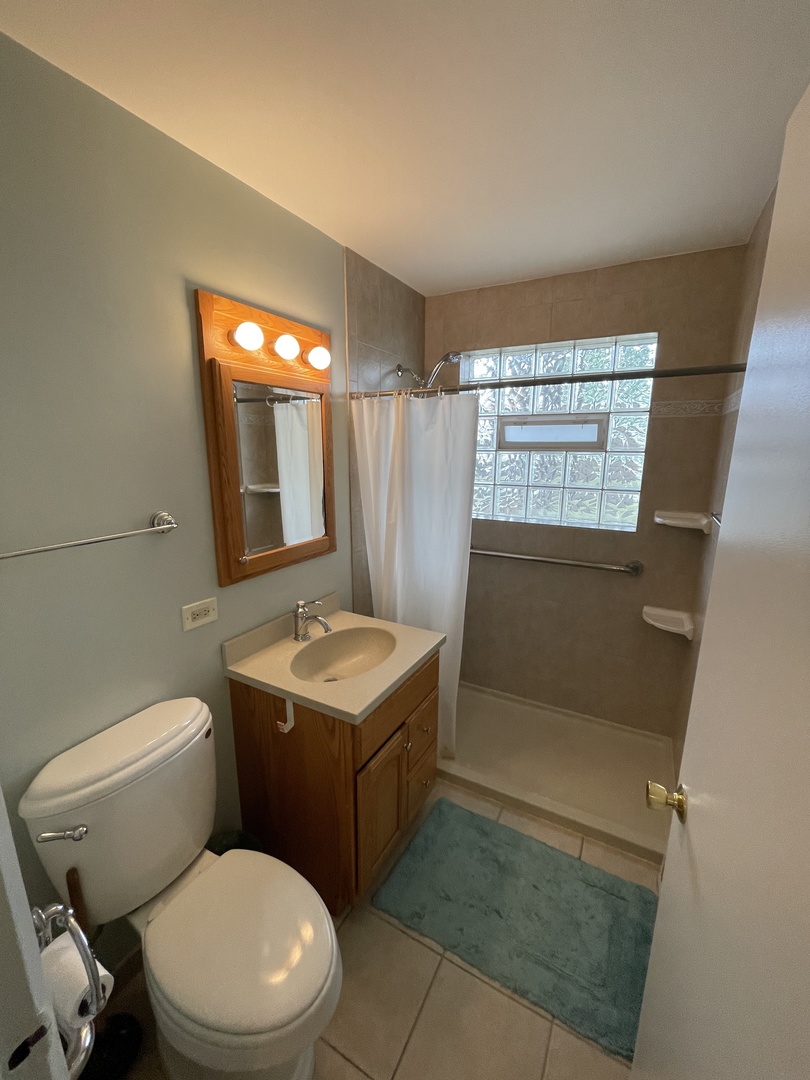 10539 Oak Avenue Chicago Ridge, IL 60415 - Photo 13 of 19