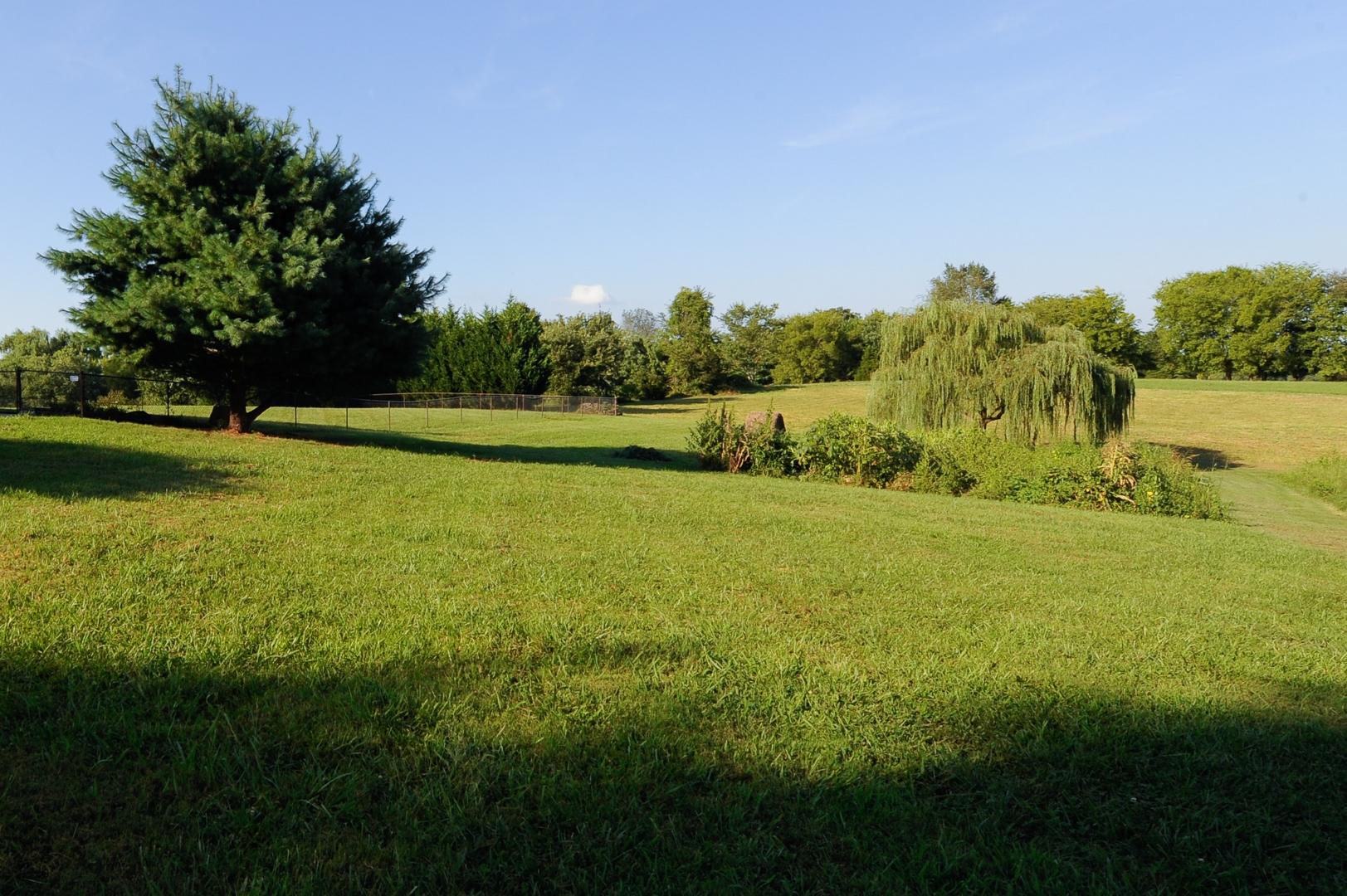 444 Disco Loop Road Friendsville, TN 37737 - Photo 36 of 40 Beautiful land - ready for garden!