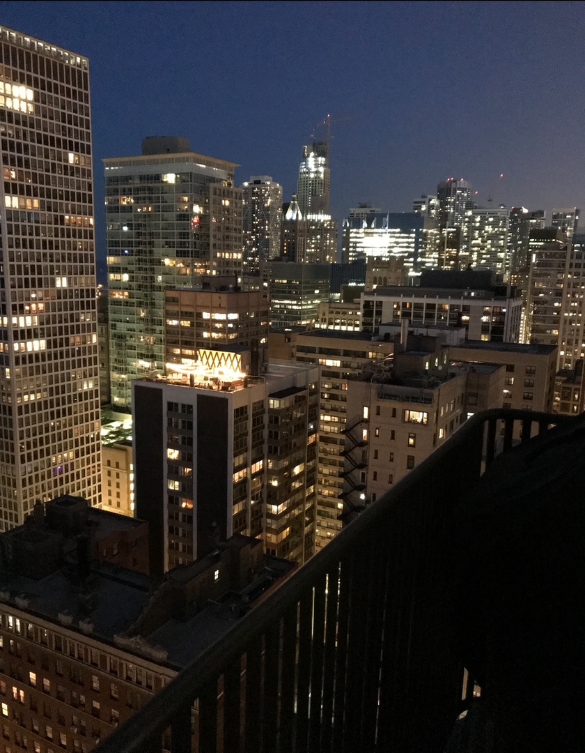 200 East Delaware Place, Unit 30C Chicago, IL 60611 - Photo 41 of 57