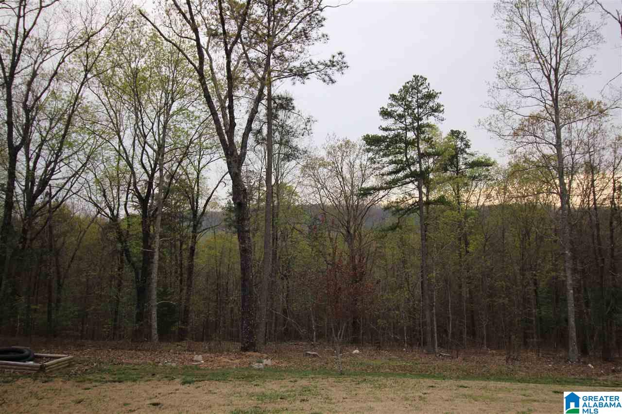 564 Cody Circle Springville, AL 35146 - Photo 32 of 32