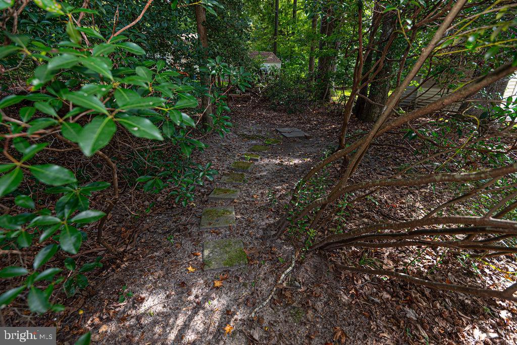 143 Sandyhook Road Ocean Pines, MD 21811 - Photo 21 of 58 Privacy Galore