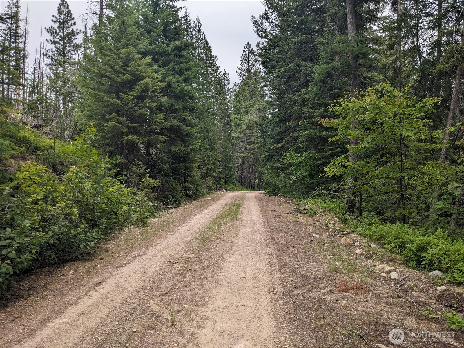 -tbd Tbd Bia Road, Unit 56 Nespelem, WA 99155 - Photo 11 of 14 a view of a yard with a plants and trees