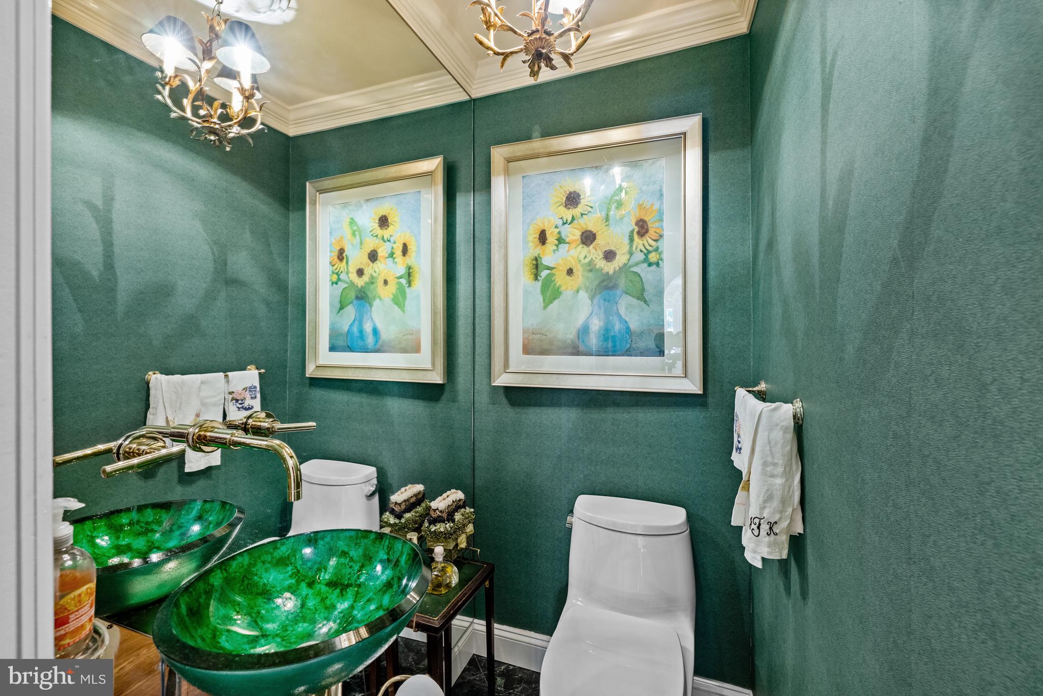 5511 Grove Street Chevy Chase, MD 20815 - Photo 18 of 33 a bathroom with a sink mirror and toilet