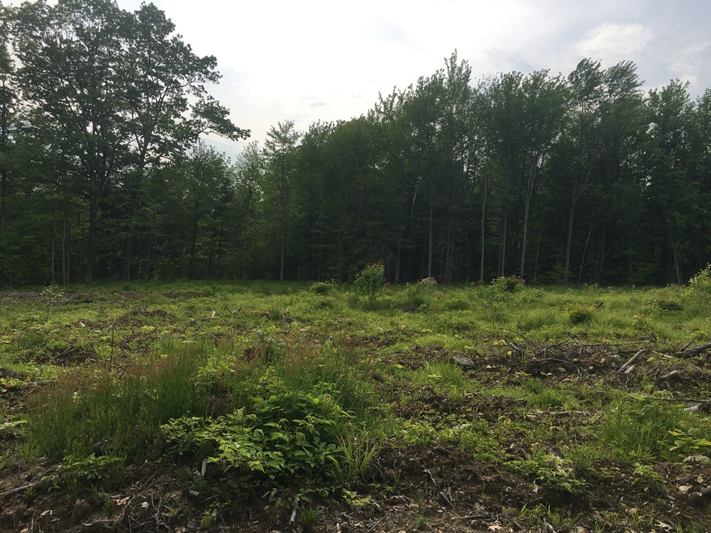 146-148 East County Road Rutland, MA 01543 - Photo 1 of 9 Gallery Image 1
