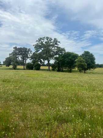 a view of a green field with clear sky