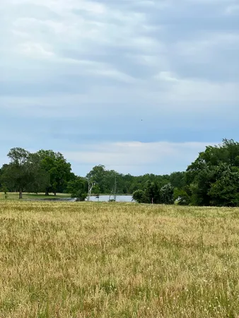 a view of outdoor space and swimming pool