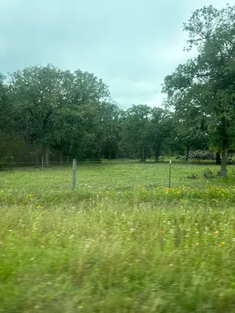 a view of a garden