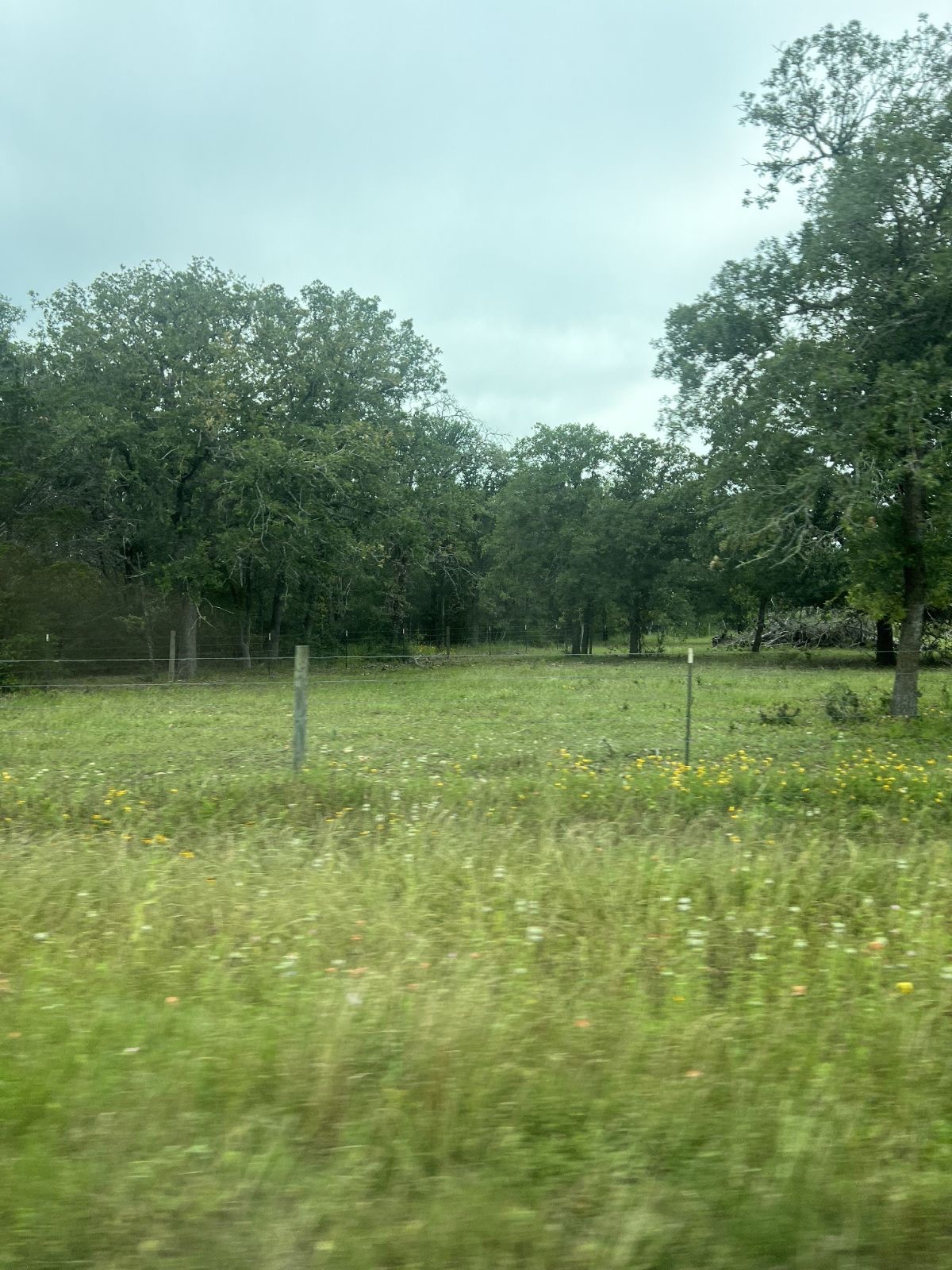 Tbd2 Tbd2 Davis Road La Grange, TX 78945 - Photo 5 of 8 a view of a garden
