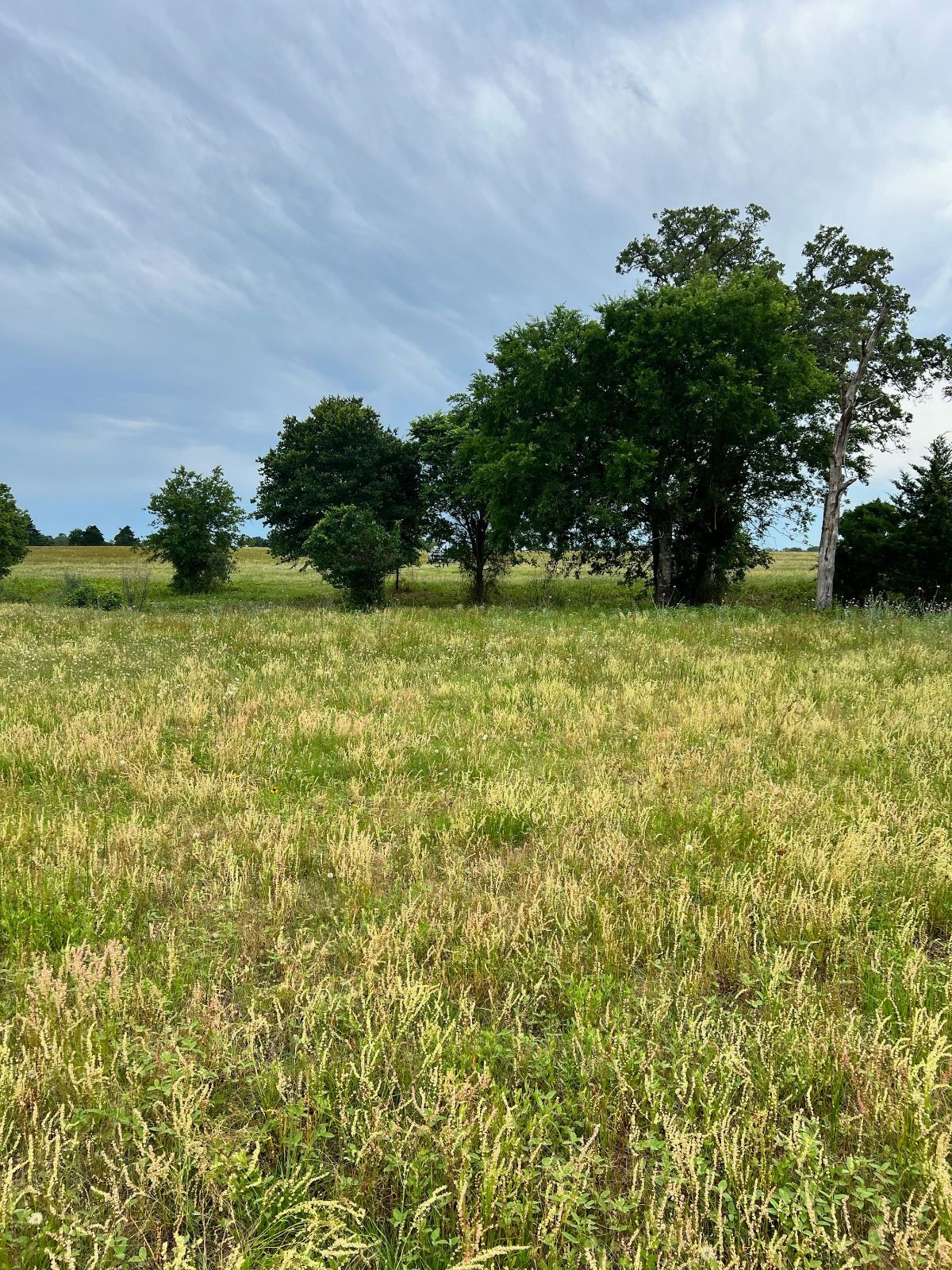 Tbd2 Tbd2 Davis Road La Grange, TX 78945 - Photo 7 of 8 a view of a lake with a house