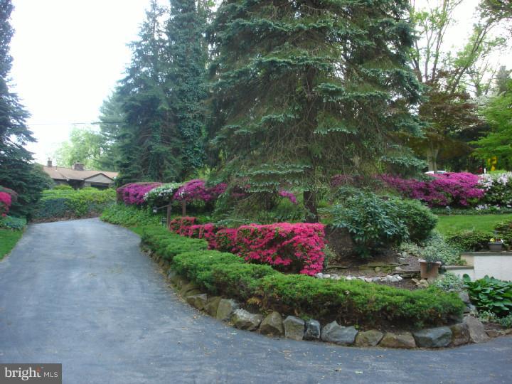 414 Marple Road Broomall, PA 19008 - Photo 25 of 25 Driveway