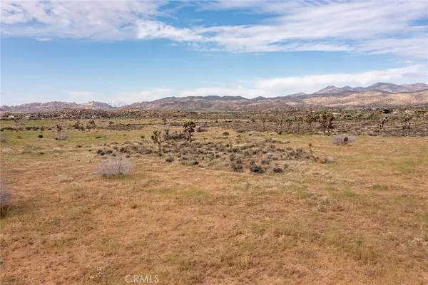 a view of a dry yard with mountain