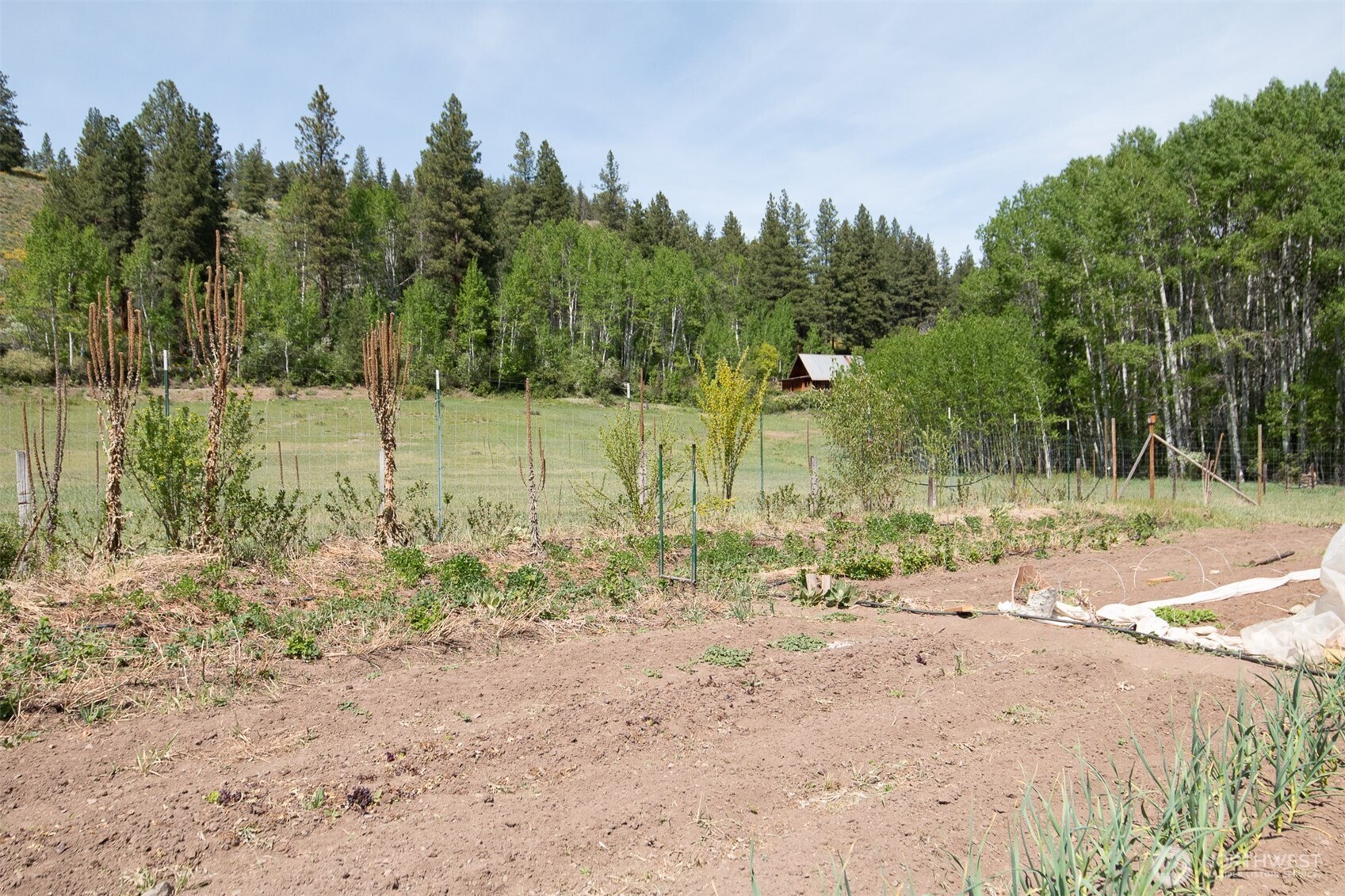 64 Elmer Road Twisp, WA 98856 - Photo 23 of 33 Gallery Image 23