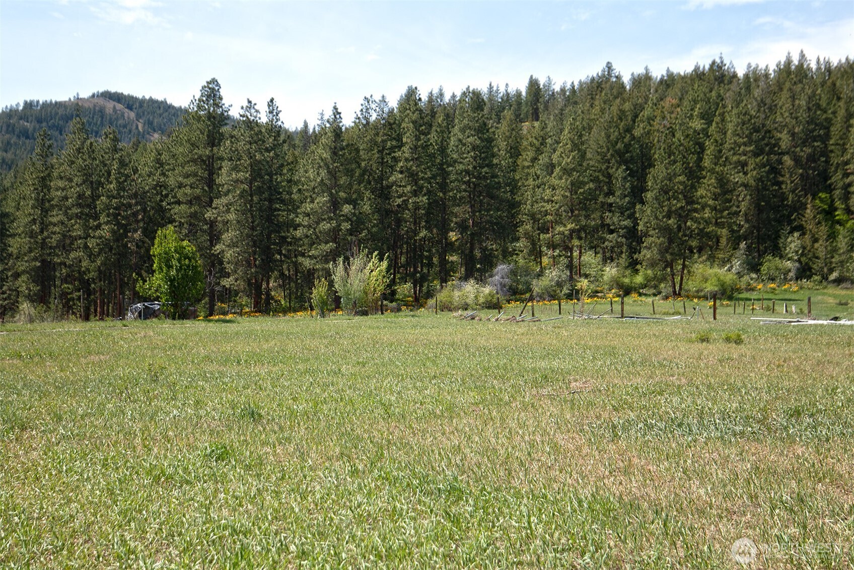 64 Elmer Road Twisp, WA 98856 - Photo 5 of 33 Gallery Image 5