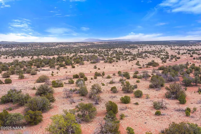 a view of a road with an ocean