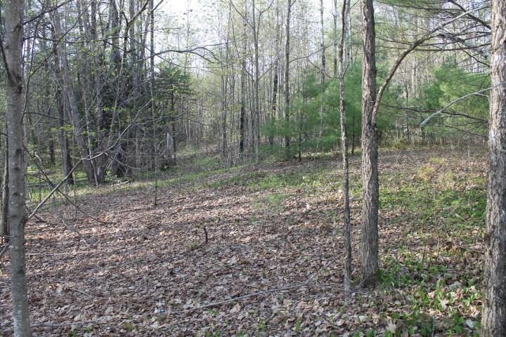 0 Campground Road Livermore Falls, ME 04254 - Photo 1 of 5 Photo
