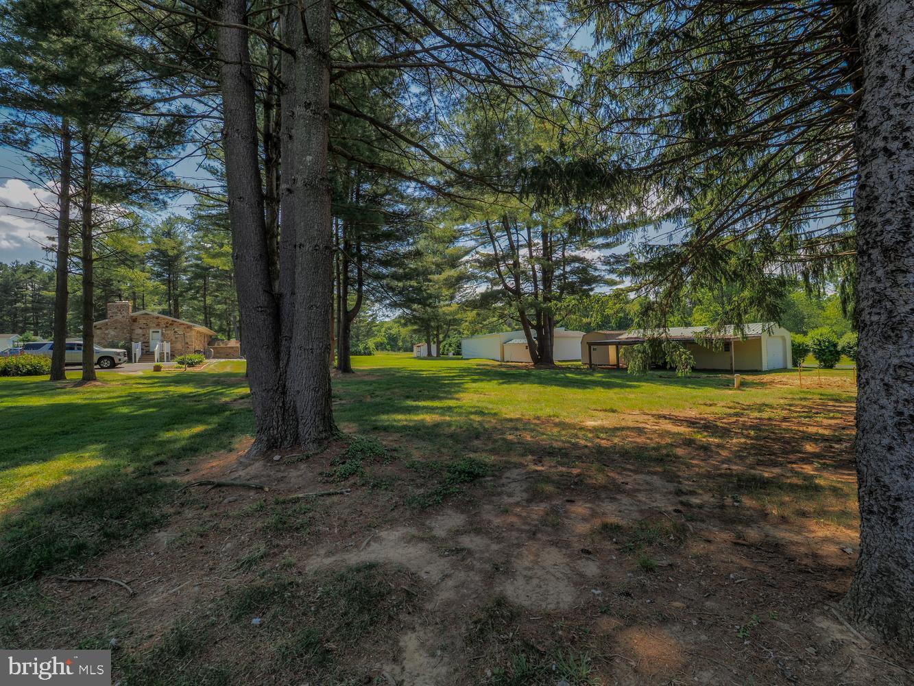4104 Conowingo Road Darlington, MD 21034 - Photo 51 of 52 Property Lined by Mature Trees