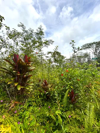 $20,000 | 156 Plumeria Road, Pahoa, HI 96778