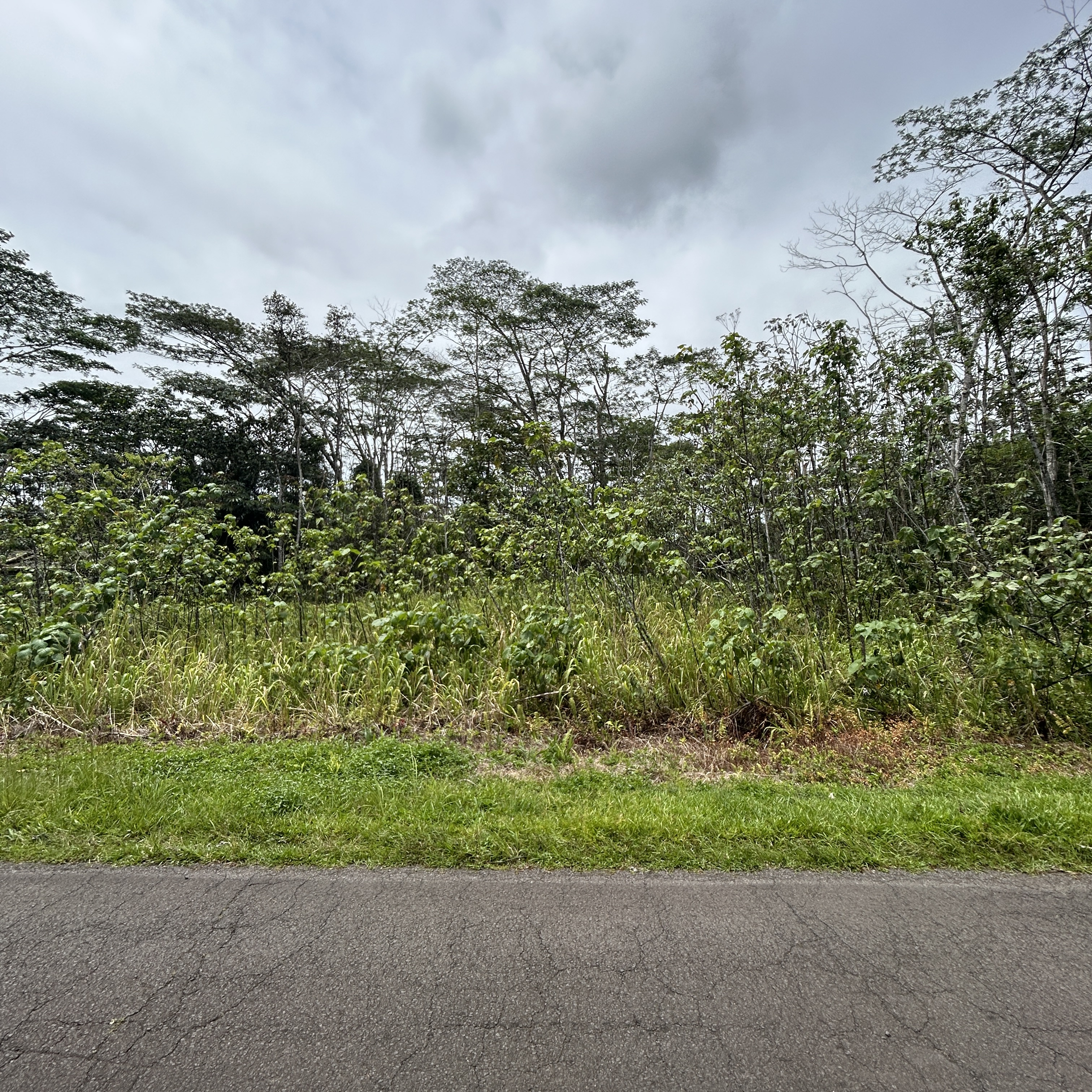 156 Plumeria Road Pahoa, HI 96778 - Photo 11 of 18