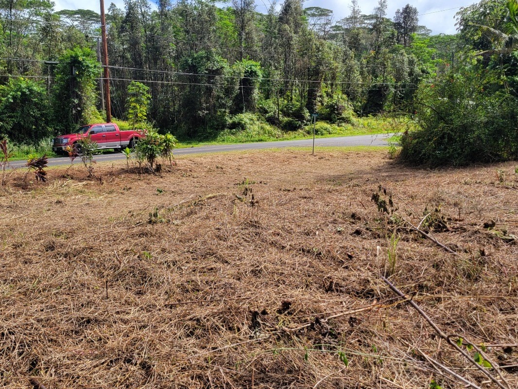 156 Plumeria Road Pahoa, HI 96778 - Photo 15 of 18