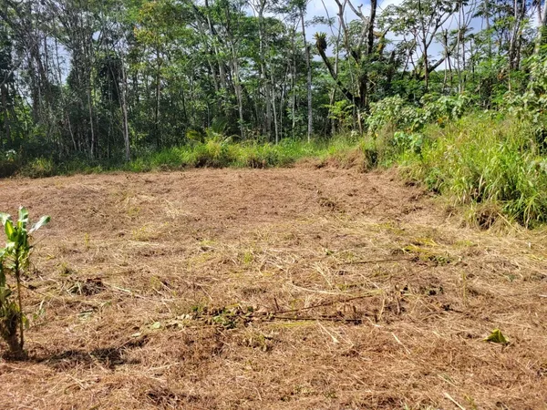 $20,000 | 156 Plumeria Road, Pahoa, HI 96778