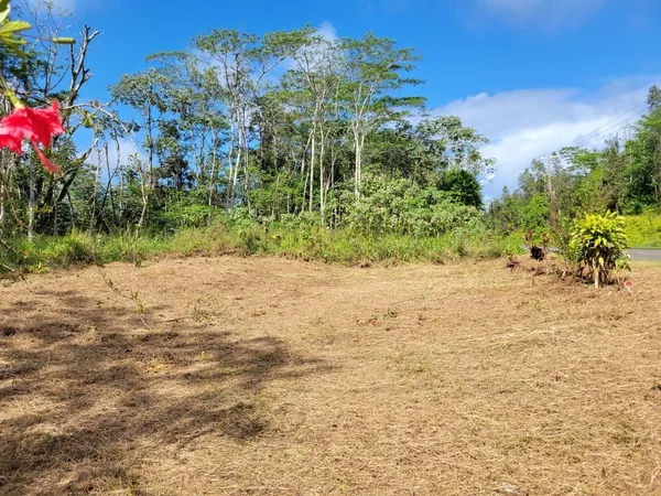 $20,000 | 156 Plumeria Road, Pahoa, HI 96778