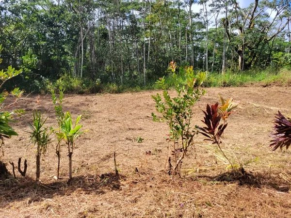 $20,000 | 156 Plumeria Road, Pahoa, HI 96778