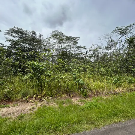 $20,000 | 156 Plumeria Road, Pahoa, HI 96778