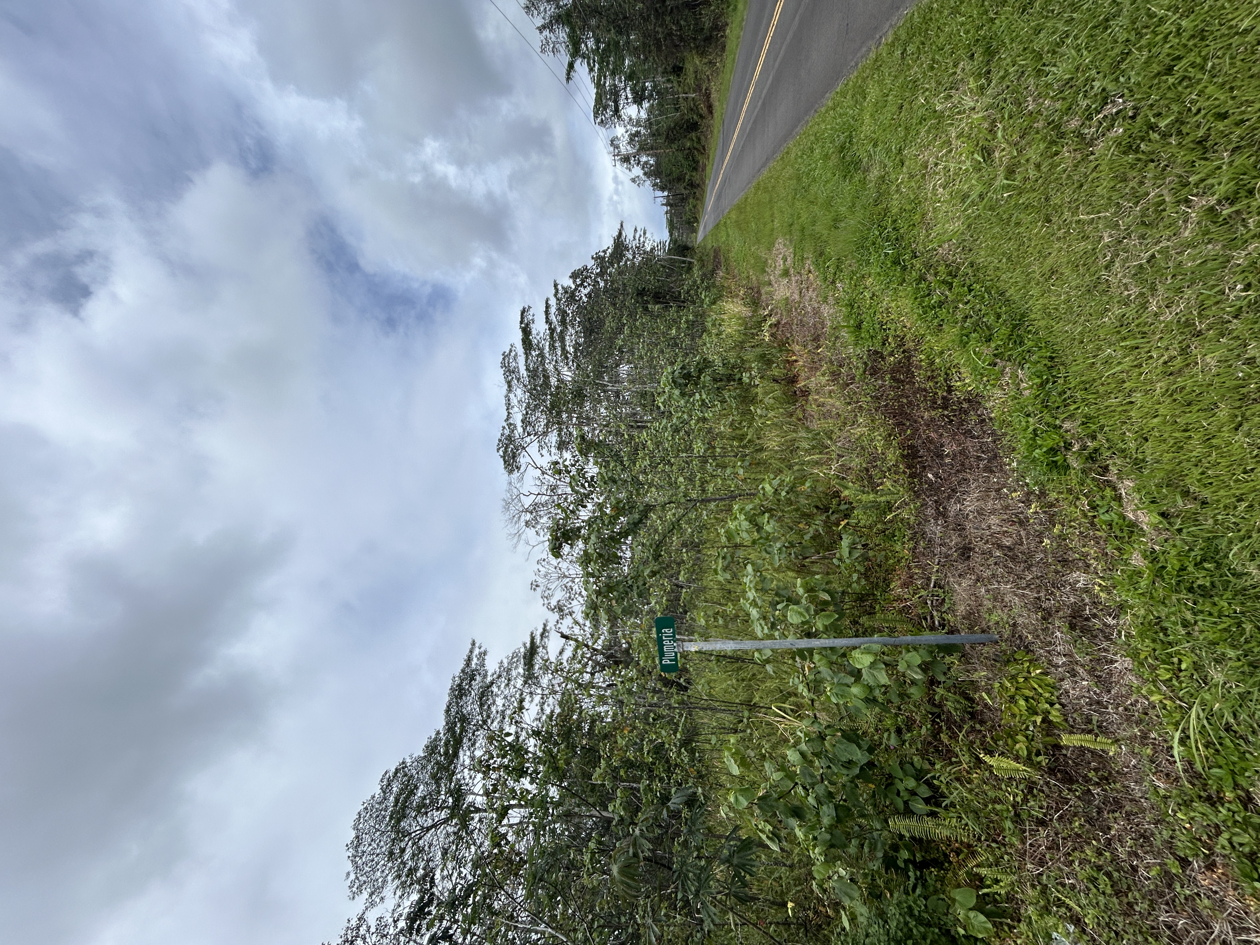 156 Plumeria Road Pahoa, HI 96778 - Photo 6 of 18