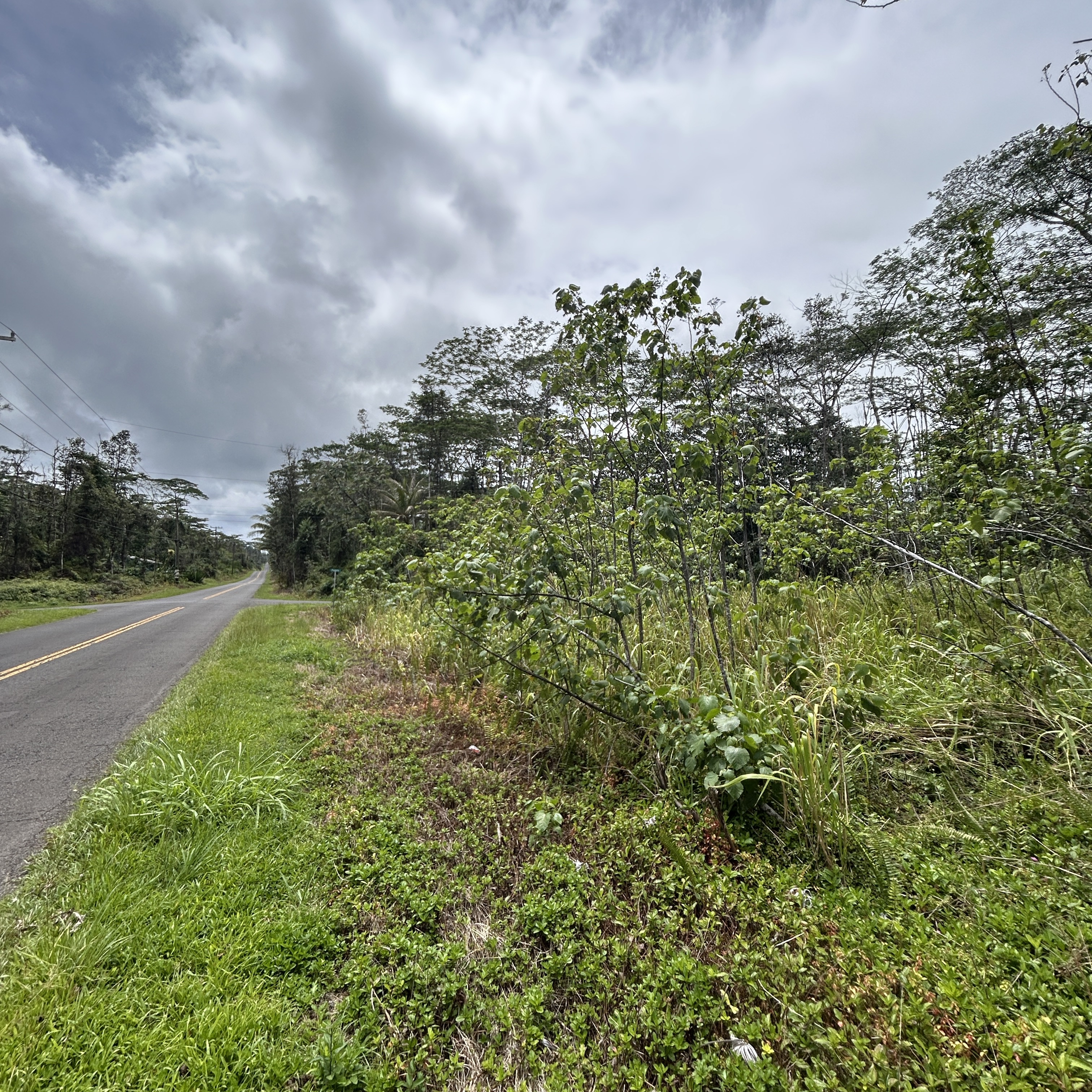 156 Plumeria Road Pahoa, HI 96778 - Photo 10 of 18