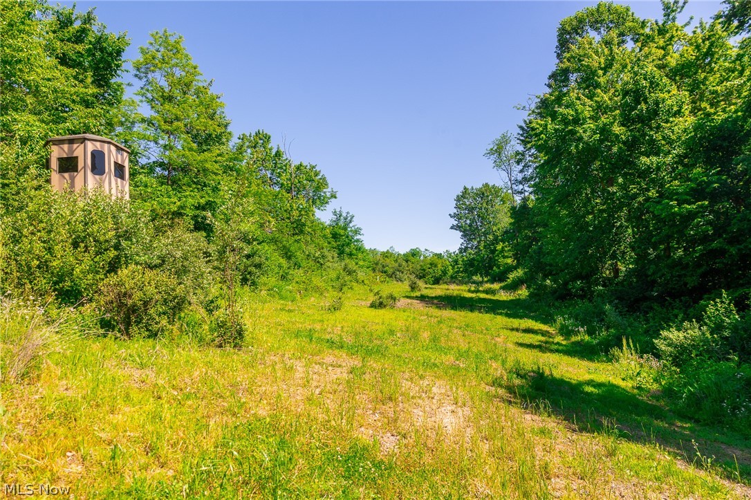 84143 Gilmore Ridge Road Cadiz, OH 43907 - Photo 11 of 32
